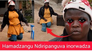 Ndirikurarama Hupenyu Hunorwadza Hamadzangu [upl. by Gad733]