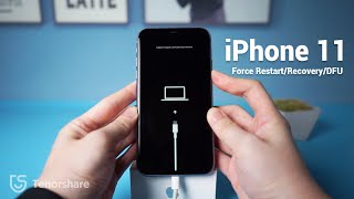 iPhone 11 How to Force Restart Recovery Mode DFU Mode [upl. by Lehcem]