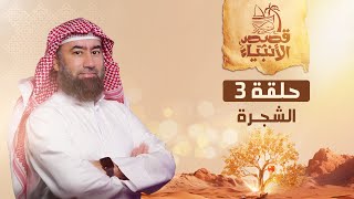 نبيل العوضي  قصة الشجرة التي نهى عنها آدم عليه السلام [upl. by Damali911]