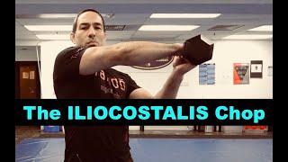 Lower Back Exercises  The Iliocostalis Chop [upl. by Koal239]