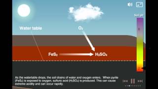 Coastal Acid Sulfate Soils [upl. by Etana]