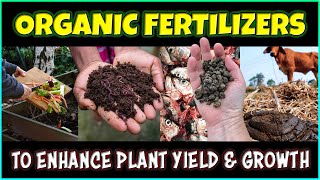 Enhancing Plant Yield amp Growth Types of Organic Fertilizers in Agriculture Farming [upl. by Borg64]