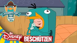 Ist das ein SchnabeltierEi  Phineas und Ferb [upl. by Einiffit440]