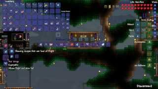 Terraria 12  Episode 35 Bunny Bombs [upl. by Sadie]