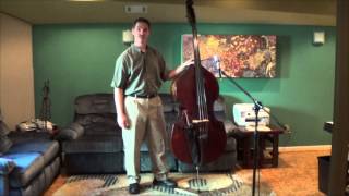 Double Bass Lesson  Standing pt 1  Holding the Bass [upl. by Trilbie]