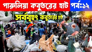 ফেন্সি কবুতরের সর্ববৃহৎ হাট  kobutor hat 2024  pigeon market in bangladesh  fancy pigeon price [upl. by Acisse]