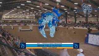 Field Hunter Finale Thoroughbred Makeover 2017 [upl. by Steiner170]