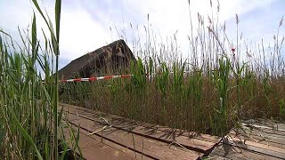 Tote im Neusiedler See Verdächtiger geständig [upl. by Cherise]