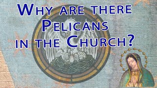 Why are there Pelicans in Catholic Churches [upl. by Slaby]