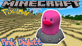 HOW TO FIND PINK DIGLETT IN PIXELMON REFORGED  MINECRAFT GUIDE  VERSION 922 [upl. by Ahsaele272]