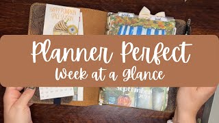 Planner Perfect Week at a Glance Plan With Me [upl. by Popelka54]