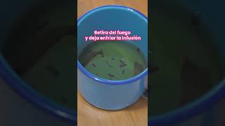 Tutorial repelente contra mosquitos caseros [upl. by Bottali]