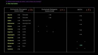 Amino Acid Oxidation Pathways Part 2 of 10  Glucogenic vs Ketogenic Amino Acids [upl. by Oizirbaf]