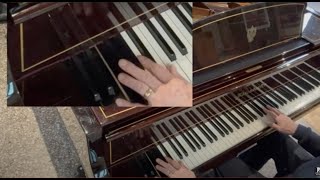 97 key Bösendorfer Imperial Concert tuning  what do the extra bass notes sound like  jump link [upl. by Ahsinawt888]