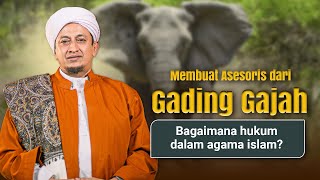 Hukum Asesoris dari tulang dan kulit hewan  Habib Hasan Bin Ismail Al Muhdor [upl. by Yznel]