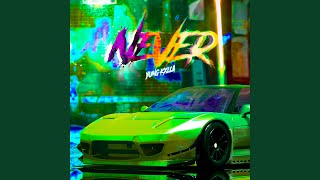 Never Instrumental [upl. by Parlin]