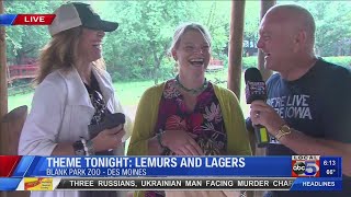 Lemurs and Lagers out at Zoo Brew [upl. by Herminia]