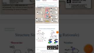 synthesis and release of acetylcholine شرح بالعربي في منتهى السهوووولة [upl. by Liu]