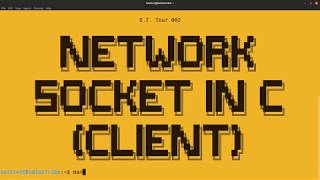 Network Socket in C Client [upl. by Pembrook]