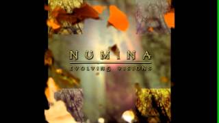 Numina  quotOpening to Beyondquot [upl. by Dlonra]