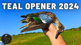 Teal Season Opening Day Hurricane Francine [upl. by Adnohser]