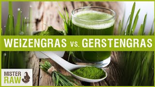 Weizengras vs Gerstengras  Welches der beiden Gräser ist besser und wo ist der Unterschied [upl. by Nazarius]