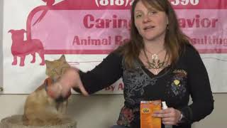 Homemade Cat Litter Deodorizer [upl. by Earlene]