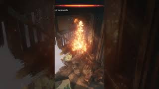 help stepbro im stuck sekiro [upl. by Pournaras]