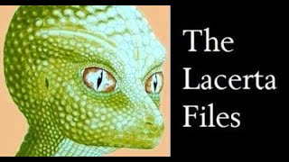 Lacerta Interview  The Reptilian Perspective [upl. by Rialb]