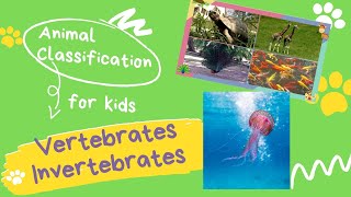 VERTEBRATES AND INVERTEBRATES for kids  Animal Classification for children [upl. by Quintina]