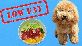 3 Easy Low Fat Dog Food Recipes for Pancreatitis [upl. by Enale]