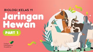 BIOLOGI Kelas 11  Jaringan Hewan Part 1  GIA Academy [upl. by Jeffers]