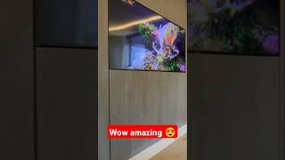 Wow amazing 😍 TV wall design ❤️ shorts shortsfeed youtubeshorts [upl. by Clari]