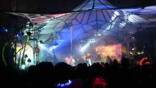 ASTRALASIA  BEARDED THEORY  DANCE TENT  2014 [upl. by Dranik643]