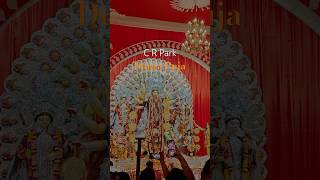 Whats the REAL Meaning Behind Durga Puja in Delhi [upl. by Zeuqram754]