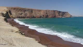 Peru  Paracas National Reserve and Ballestas Islands 4K [upl. by Osner]