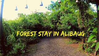 FOREST STAYCATION IN ALIBAUG  BOHEMYAN BLUE RESORT  M2M FERRY MUMBAI TO ALIBAUG  CS VLOGS [upl. by Aremmat]