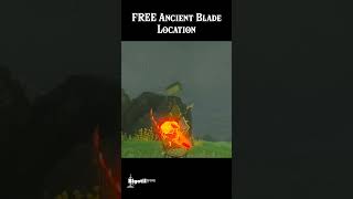 FREE Ancient Blade Location zeldatearsofthekingdomclips [upl. by Lindo187]