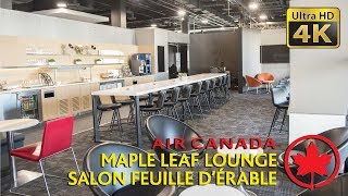 Air Canada Maple Leaf Lounge at Toronto YYZ Terminal 1 Transborder Departure [upl. by Landau162]