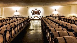 Inside Château Mouton Rosthchild  Bordeaux Winery Tour  Pauillac 2018 [upl. by Krishna]