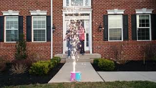 Sweet Family Gender Reveal [upl. by Eliak]