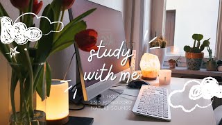 Cozy Study With Me  1 hour Pomodoro 255  no music  Rainy Day in Nature Background Noise [upl. by Denver]