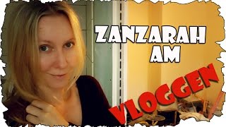 Zanzarah am Vloggen 58 Eine Bordüre fürs Bad  Wohnungsupdate  VLog [upl. by Lahcear227]