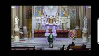 Morning Mass  The Church of the Most Holy Redeemer Clonard Monastery West Belfast N Ireland [upl. by Derayne]