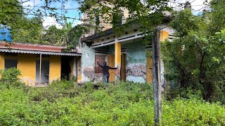 Cleaning up the overgrown grass disaster around the abandoned house  Strangely satisfying [upl. by Naenej]