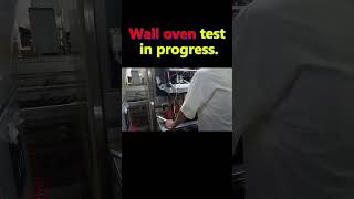 Wall oven test in progressshorts [upl. by Entwistle]