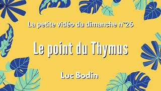 LE POINT DU THYMUS  La petite vidéo du dimanche n°26 [upl. by Akiehsal]