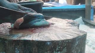 Amazing Cutting Skills  CatFish Skinning amp Chopping By Expert Fish Cutter [upl. by Janicki]