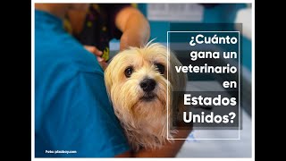 ¿Cuánto gana un veterinario en Estados Unidos por hora 2023 [upl. by Dart]