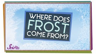 Where Does Frost Come From  Winter Science  SciShow Kids [upl. by Lindeberg886]